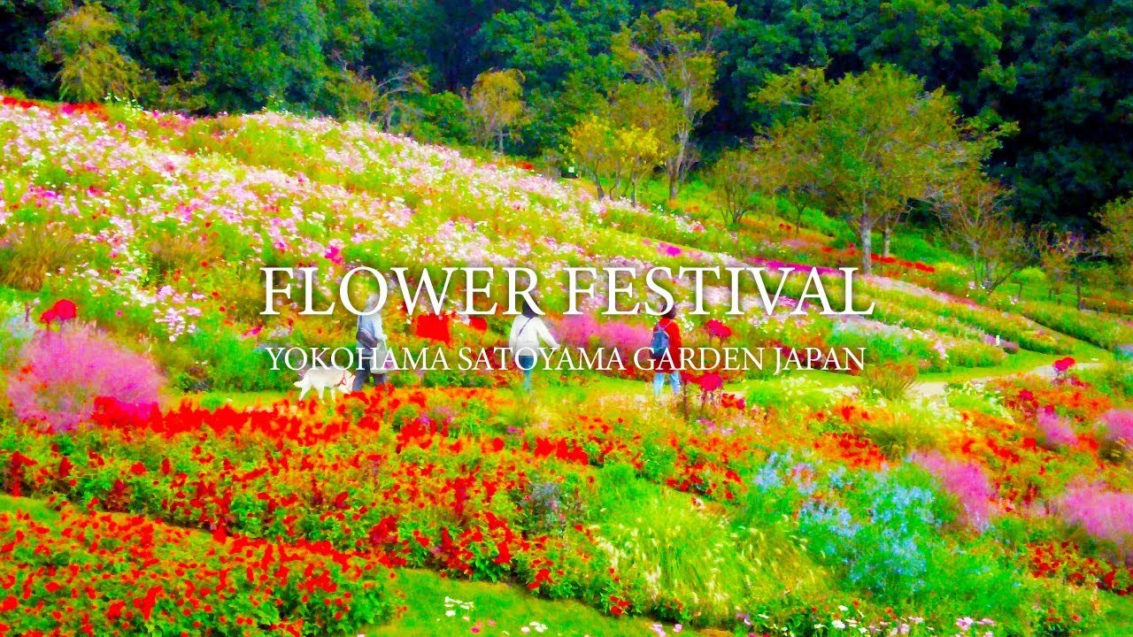 🌳 가나가와 현립 치가사키사토야마 공원 이미지 5